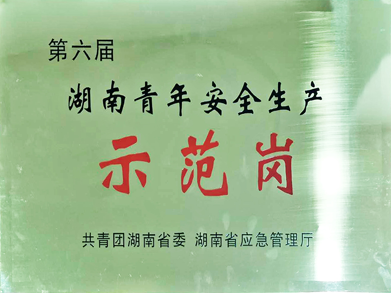 湖南省青年安全生产示范岗